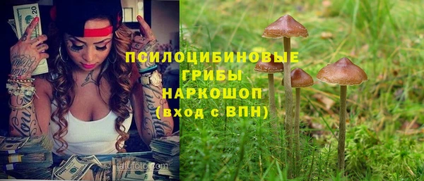альфа пвп Няндома
